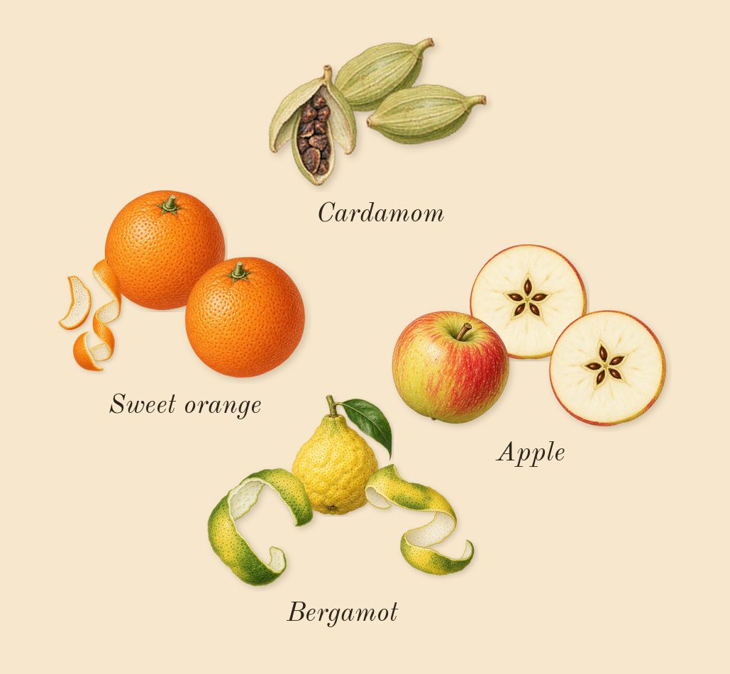 Nitro Elixir, top notes: Bergamot, Apple, Sweet orange, Cardamom