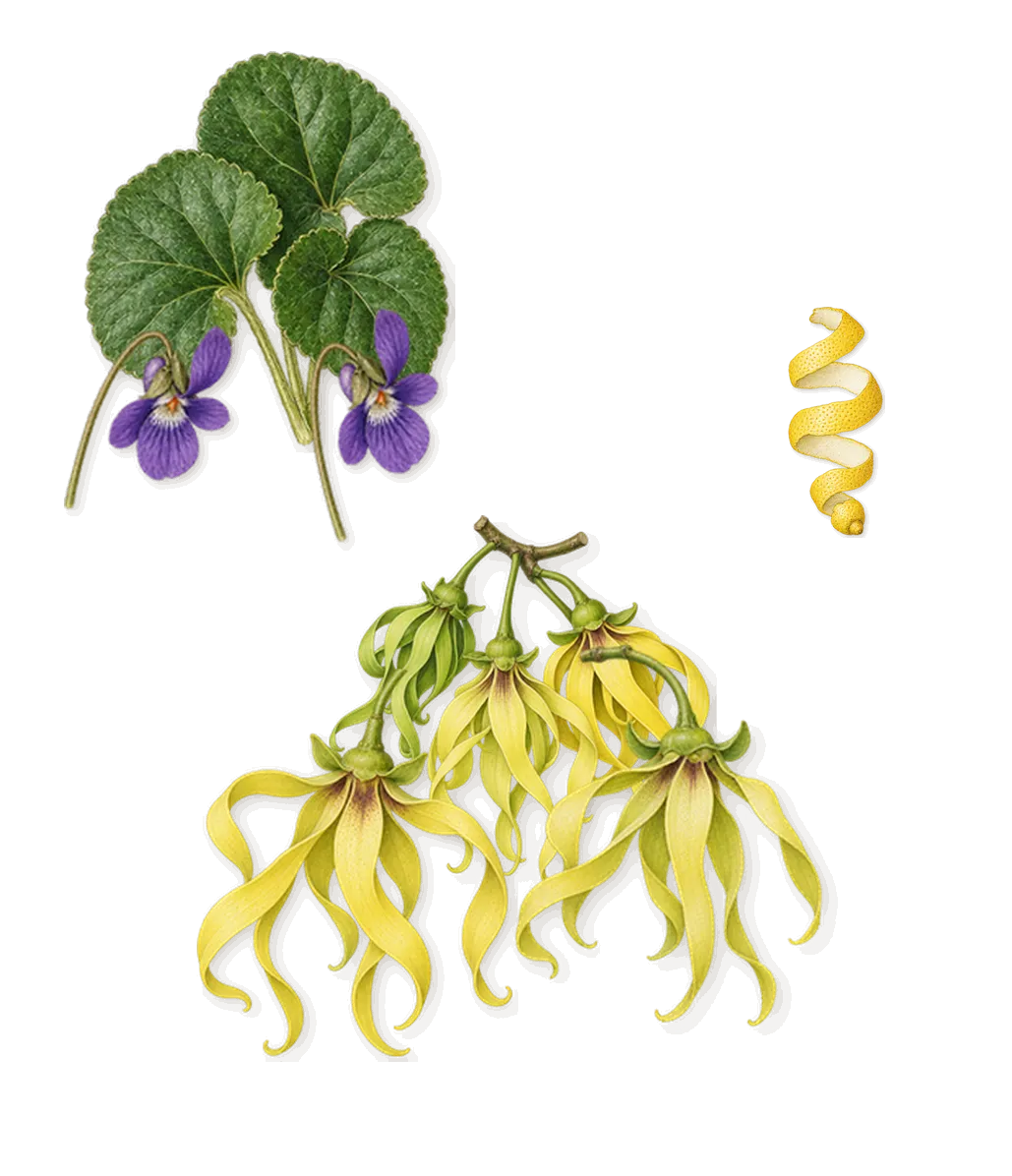 Salt, when you spray it: Ylang-ylang, Violet, Citral (lemon)