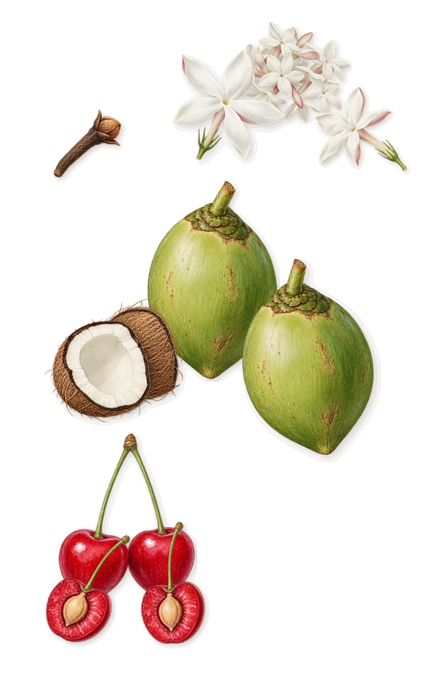 Vanilla Rice, as it settles: Cherry, Coconut, Jasmine, Isoeugenol (clove)