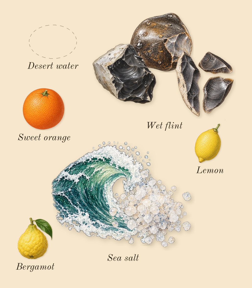 Vanilla Salt, top notes: Wet flint, Sea salt, Desert water, Bergamot, Sweet orange, Lemon