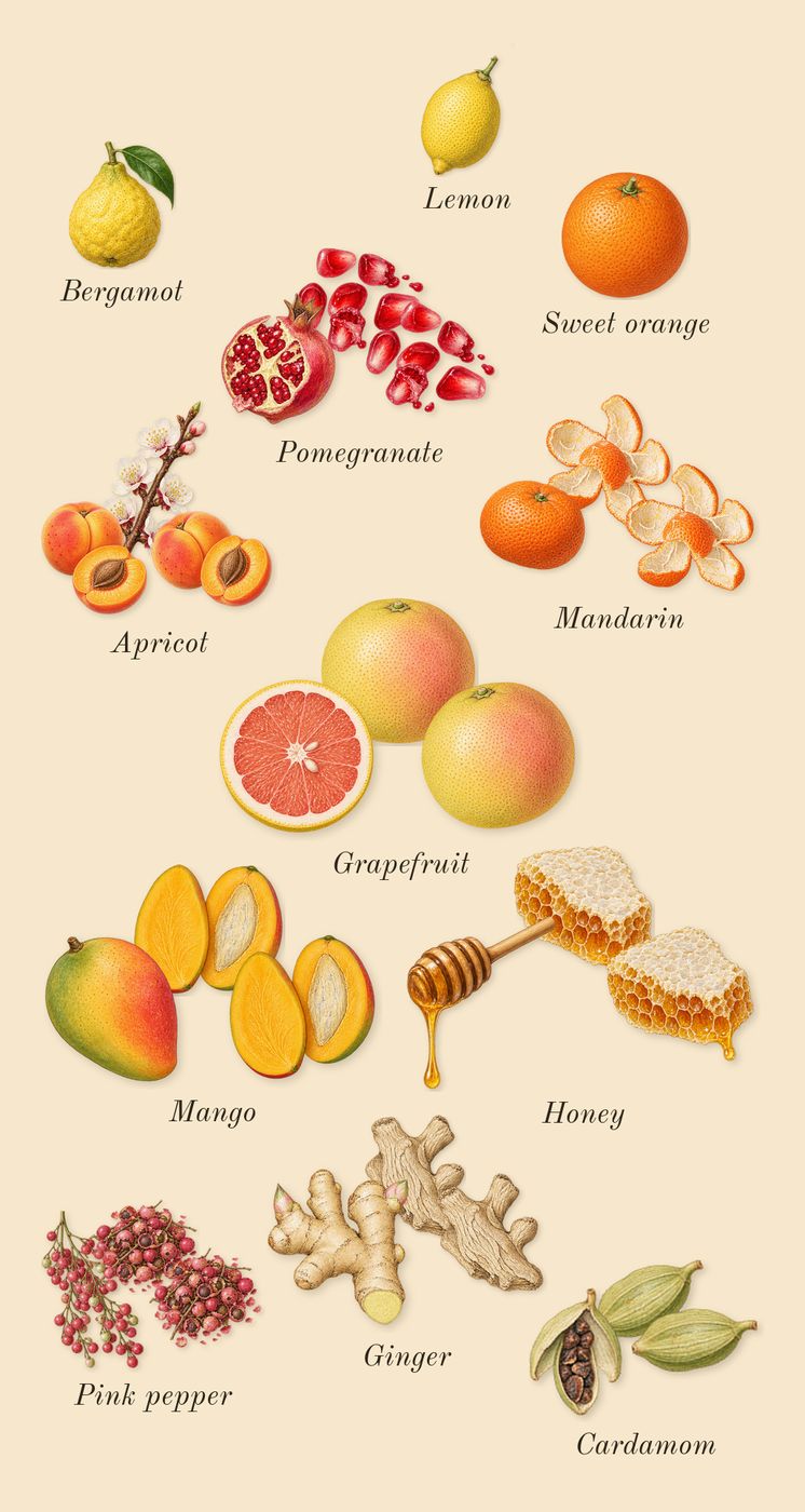 Elsewhere, top notes: Honey, Mandarin, Grapefruit, Mango, Pomegranate, Apricot, Ginger, Cardamom, Pink pepper, Bergamot, Lemon, Sweet orange