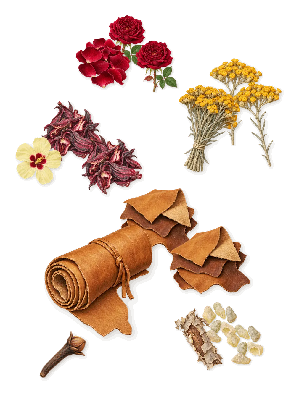 Choose Happiness, as it settles: Rose, Immortelle, Frankincense, Hibiscus, Leather, Isoeugenol (clove)