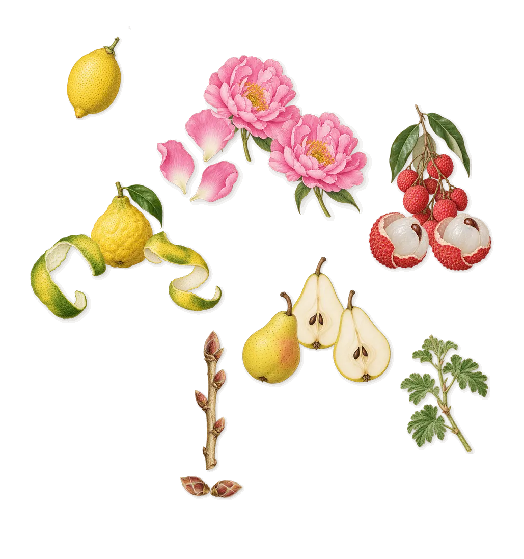 Choose Happiness, when you spray it: Lychee, Bergamot, Pear, Peony, Blackcurrant, Lemon, Geranium