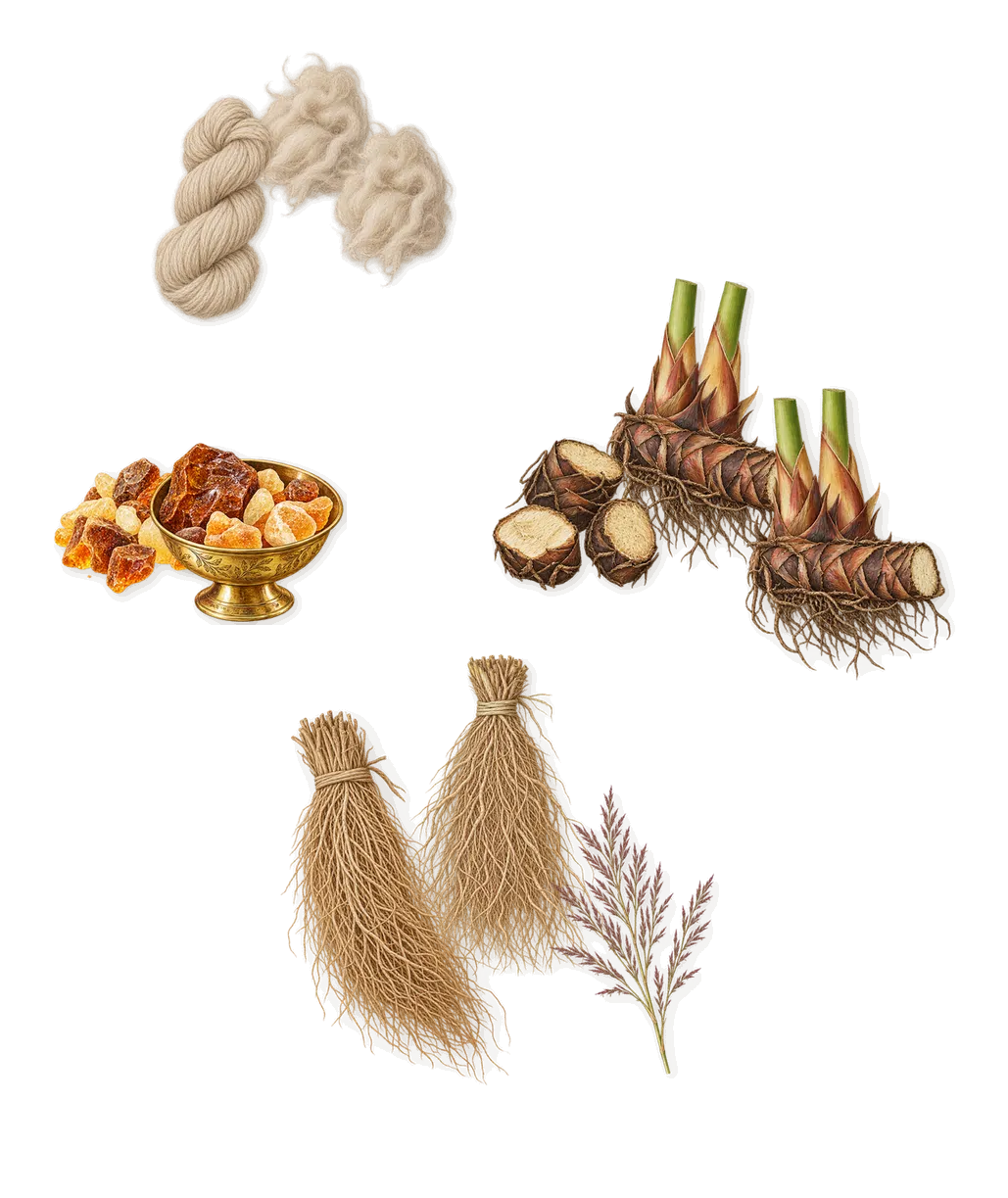 Dancing on Goosebumps, what stays: Vetiver, Papyrus, Cashmeran (cashmere wood), Amber