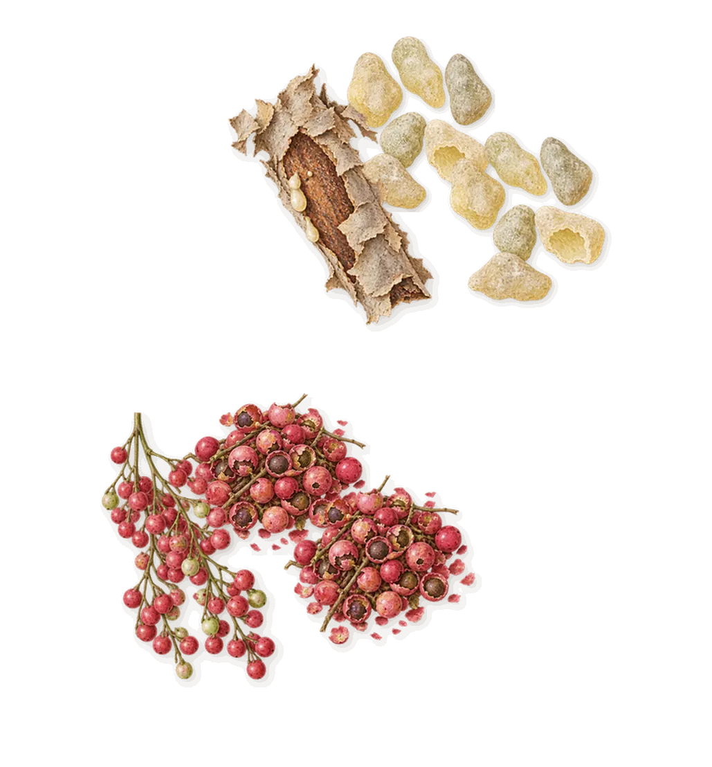 Dancing on Goosebumps, as it settles: Pink pepper, Frankincense