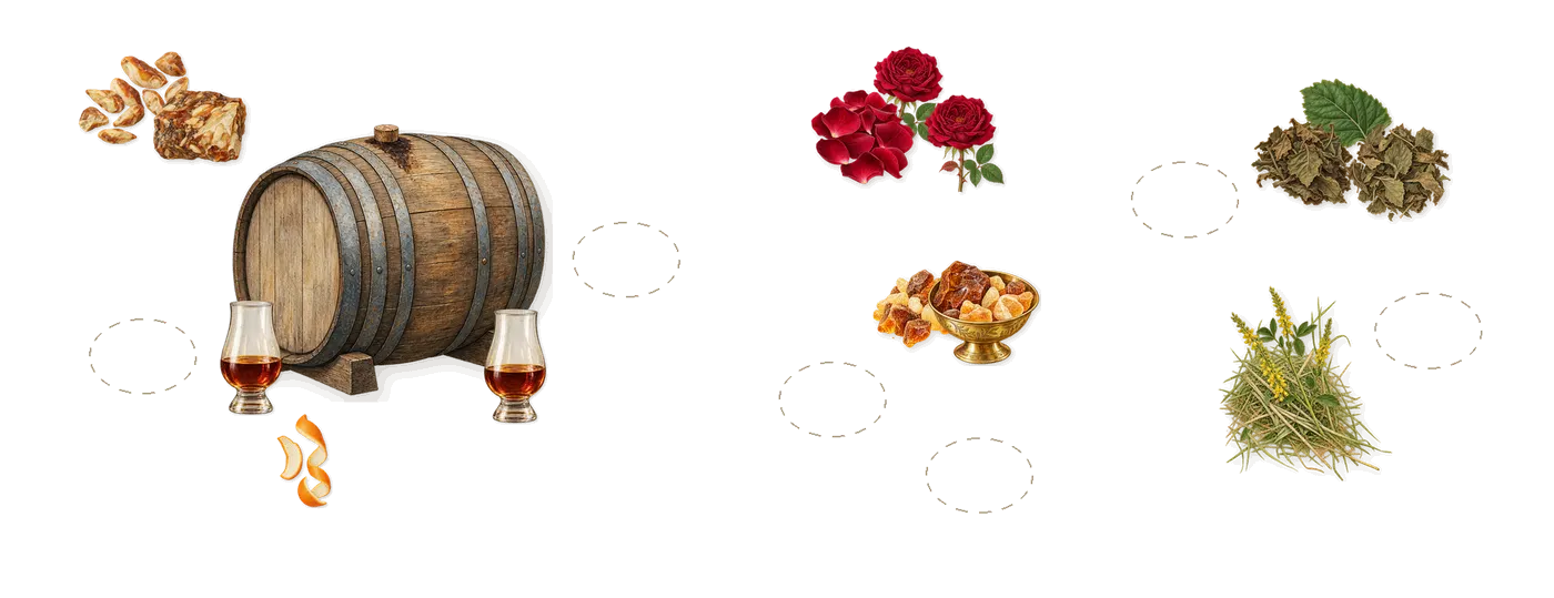 Melting Lust’s scent picture, a draft: benzoin, rum, amber, rose, patchouli, coumarin (new-mown hay) drawn so far; dashed outlines where nothing is drawn yet