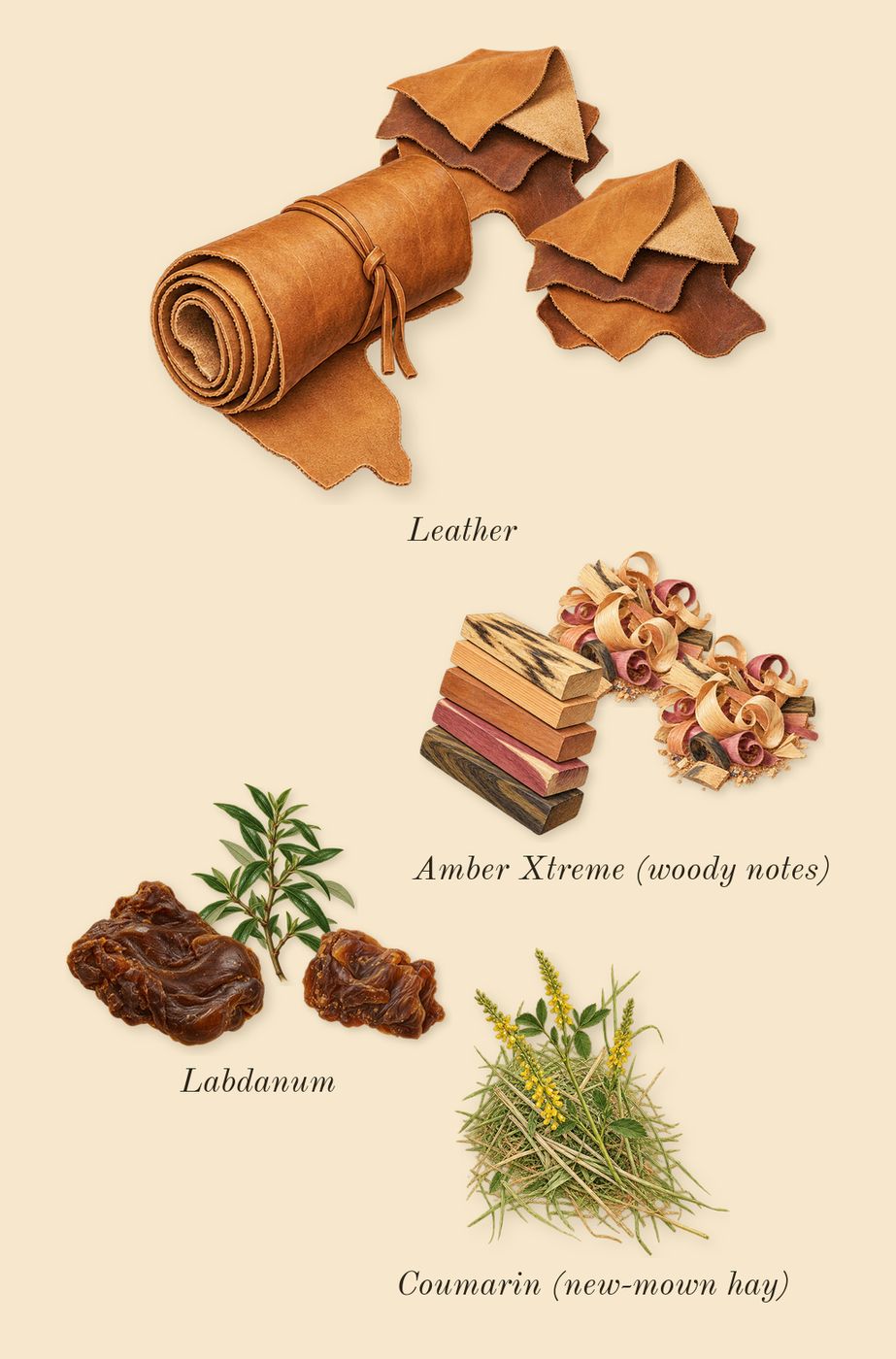 Enclave, dry-down: Leather, Amber Xtreme (woody notes), Labdanum, Coumarin (new-mown hay)