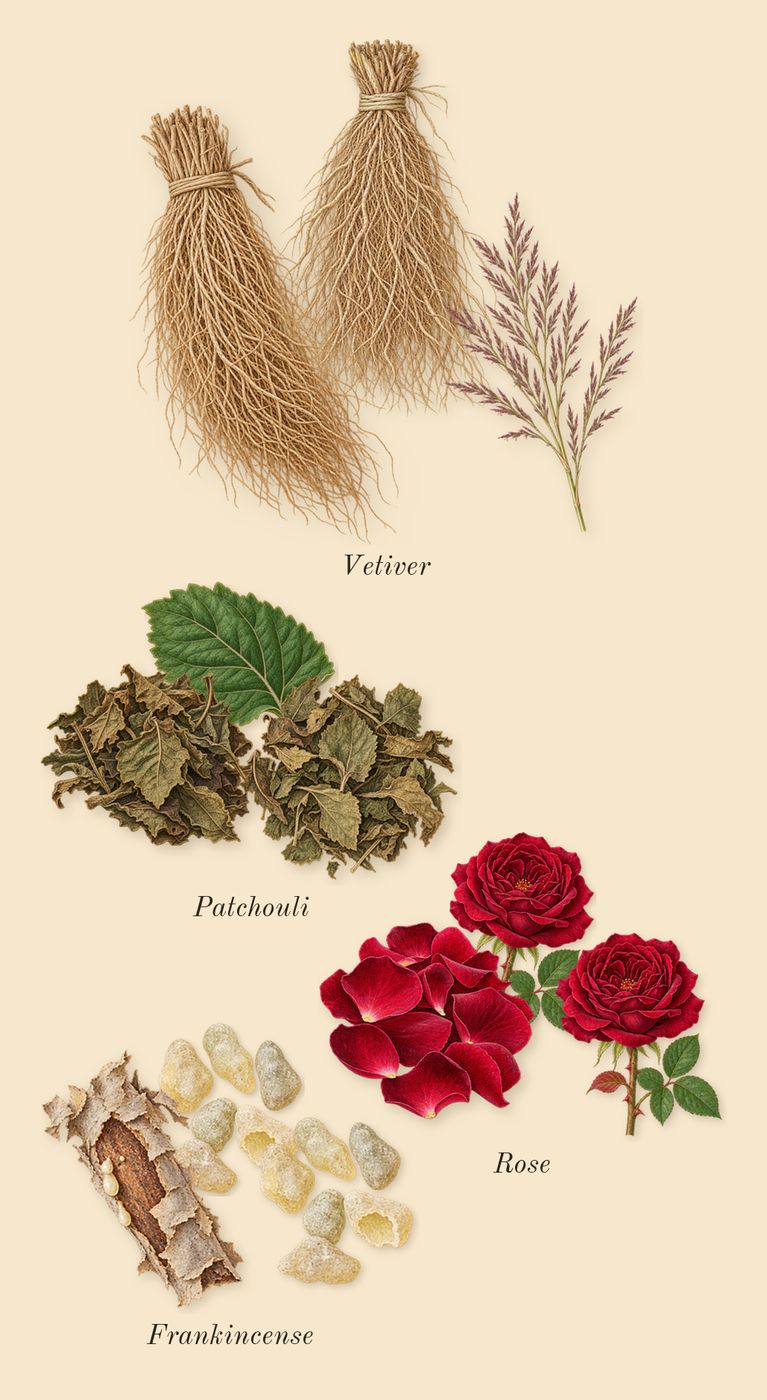 Enclave, heart: Rose, Patchouli, Frankincense, Vetiver