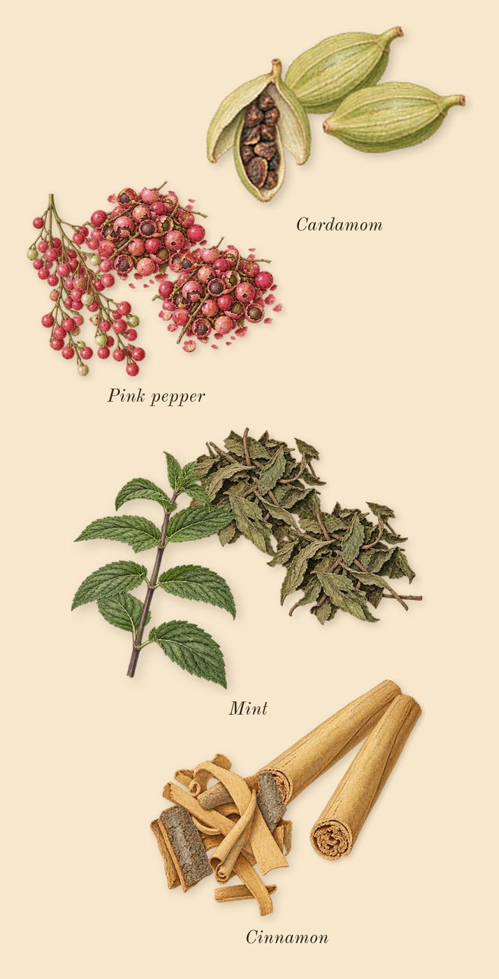 Enclave, top notes: Cardamom, Mint, Pink pepper, Cinnamon
