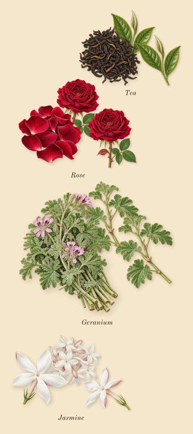 Epic Woman, heart: Rose, Geranium, Jasmine, Tea
