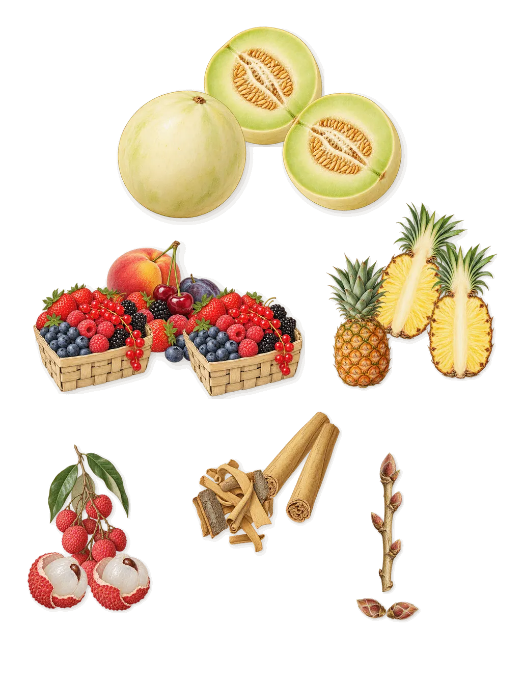 Magnetism, when you spray it: Red berries, Blackcurrant, Cinnamon, Lychee, Pineapple, Melon