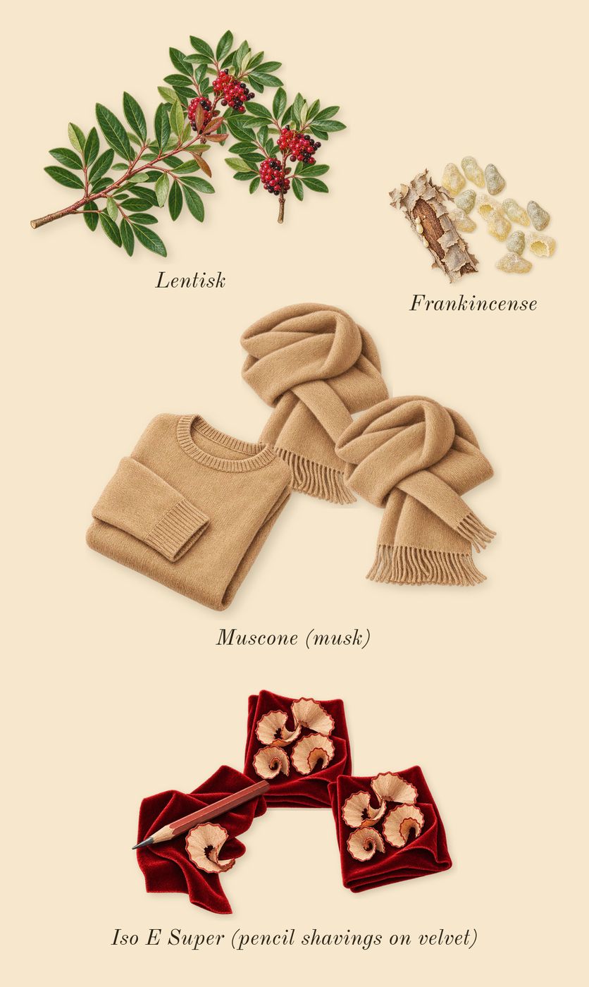 Escentric 01, dry-down: Iso E Super (pencil shavings on velvet), Frankincense, Lentisk, Muscone (musk)