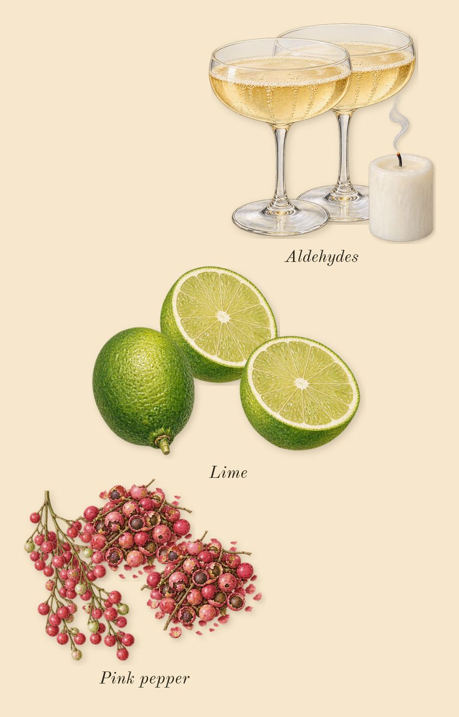 Escentric 01, top notes: Lime, Pink pepper, Aldehydes