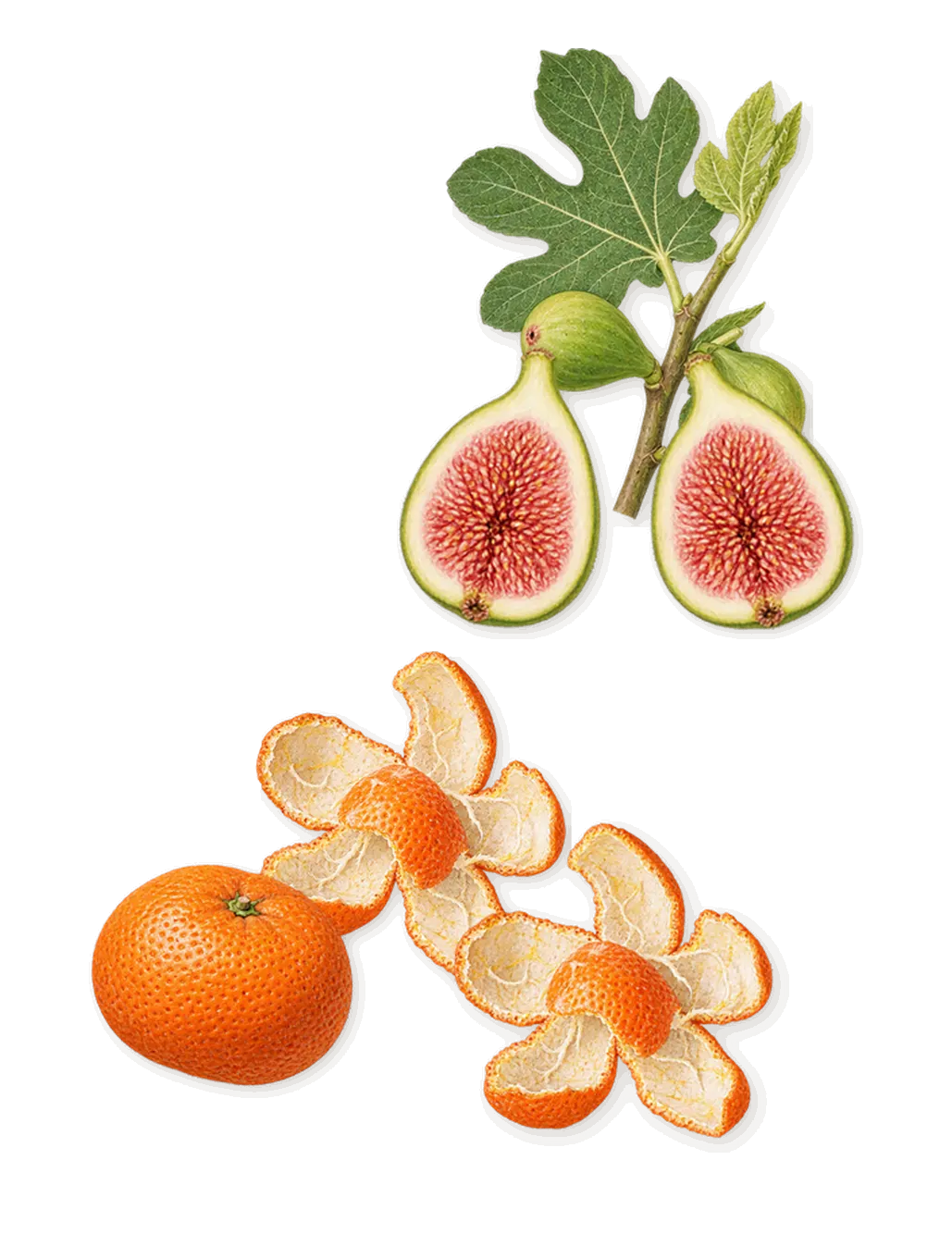 Fig Infusion, when you spray it: Fig, Mandarin