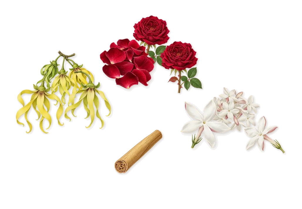 Nice Bergamote, as it settles: Rose, Jasmine, Ylang-ylang, Cinnamal (cinnamon)