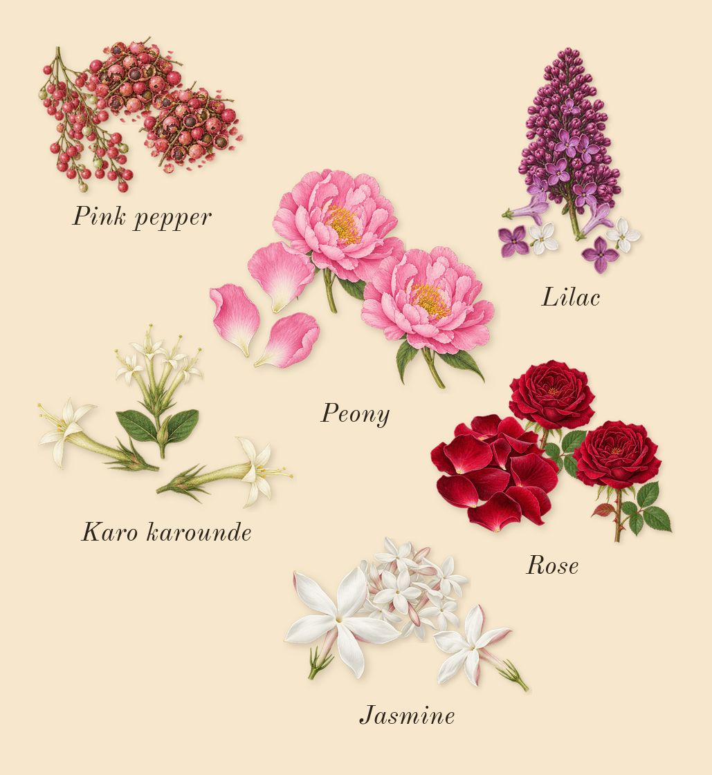 Pleasures, heart: Lilac, Peony, Karo karounde, Pink pepper, Rose, Jasmine