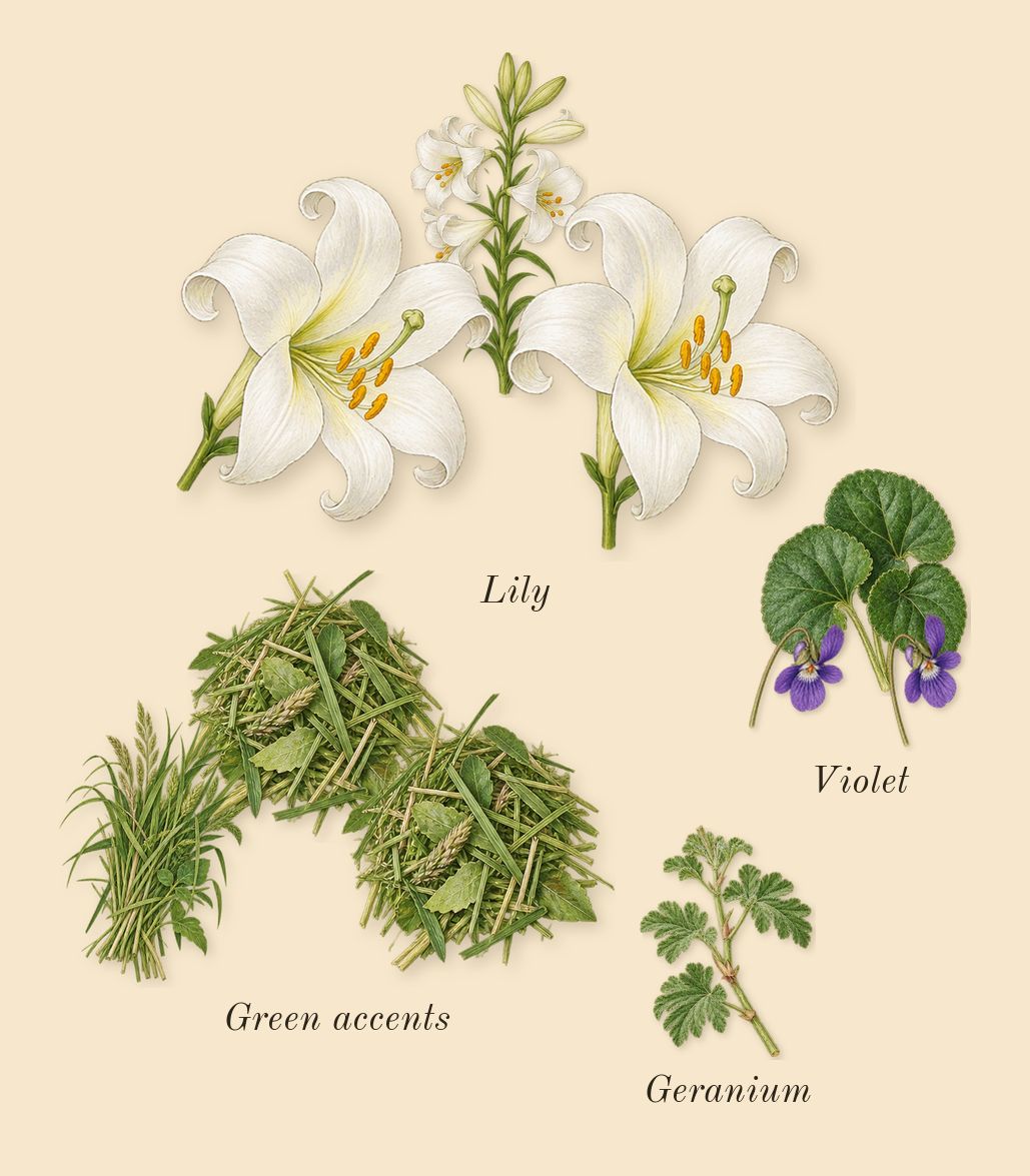 Pleasures, top notes: Lily, Violet, Green accents, Geranium