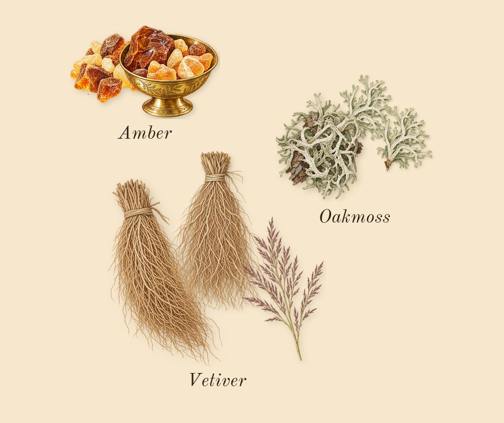 White Linen, dry-down: Vetiver, Oakmoss, Amber