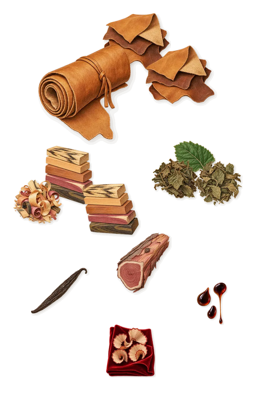 500 Years, what stays: Amber woods, Patchouli, Leather, Virginia cedar, Peru balsam, Iso E Super (pencil shavings on velvet), Vanillin (vanilla)