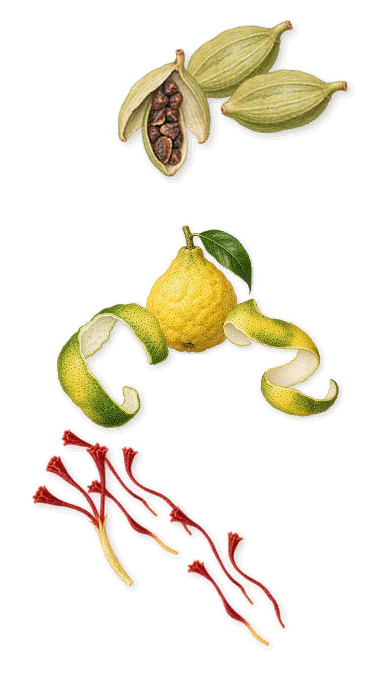 500 Years, when you spray it: Bergamot, Cardamom, Saffron