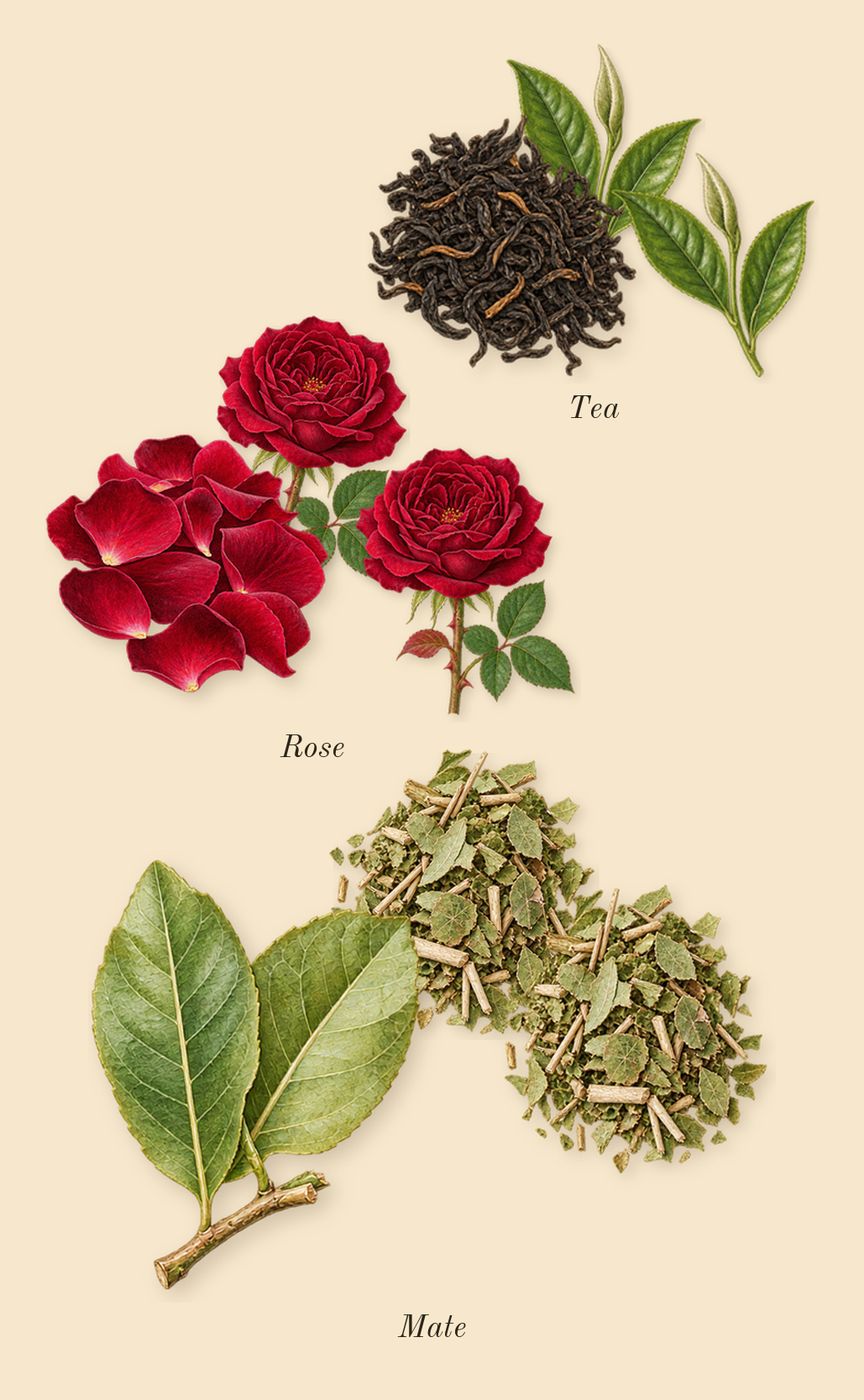 Above the Waves, heart: Mate, Tea, Rose