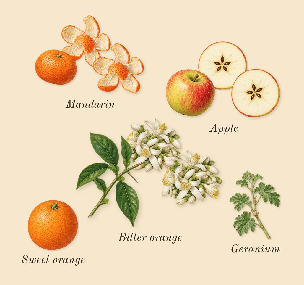 I Am Trash, top notes: Apple, Bitter orange, Mandarin, Sweet orange, Geranium