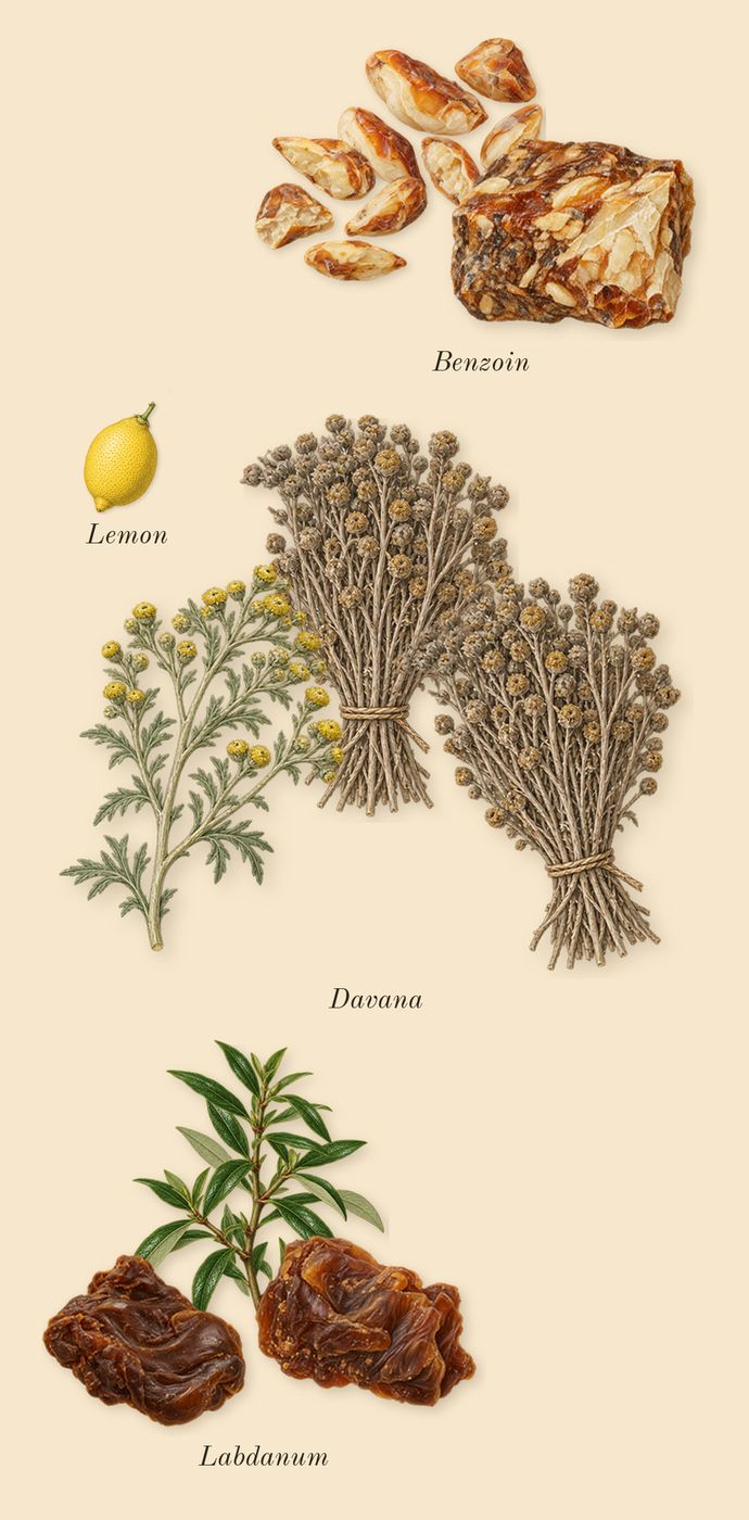 Story of Your Life, top notes: Labdanum, Davana, Benzoin, Lemon