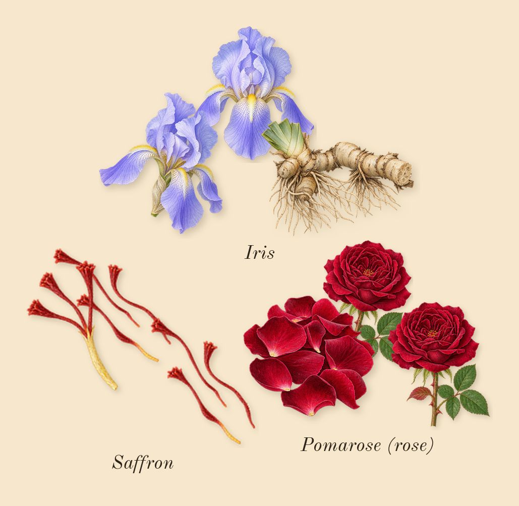 Uruk Chronicles, heart: Saffron, Iris, Pomarose (rose)