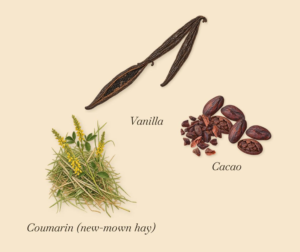 Love & Crime, what stays: Cacao, Vanilla, Coumarin (new-mown hay)