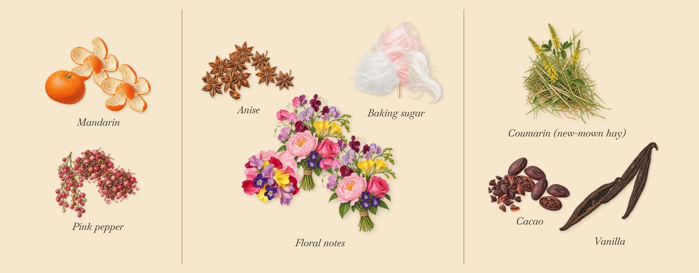 Love & Crime’s scent picture, a draft: pink pepper, mandarin, floral notes, baking sugar, anise, cacao drawn so far; dashed outlines where nothing is drawn yet