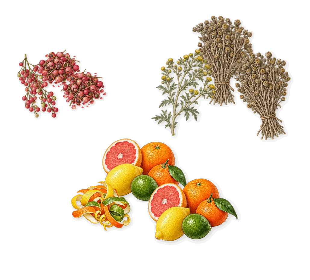 Lucid Dream, when you spray it: Effervescent citrus, Pink pepper, Davana