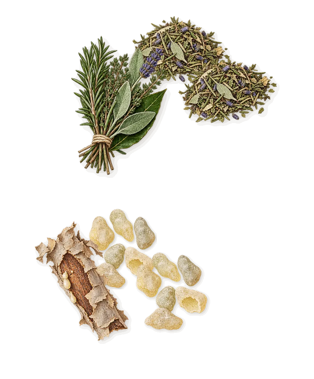 Ryder, when you spray it: Aromatic esters, Frankincense