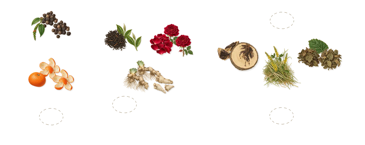 Thirty Three’s scent picture, a draft: black pepper, mandarin, tea, rose, iris, patchouli drawn so far; dashed outlines where nothing is drawn yet
