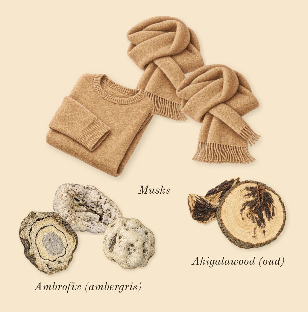 Blue Talisman, dry-down: Ambrofix (ambergris), Akigalawood (oud), Musks