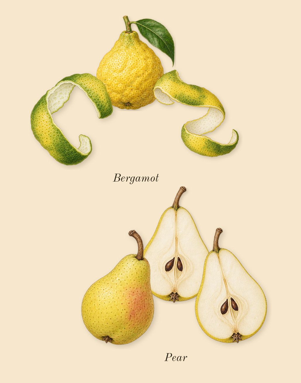 Blue Talisman, top notes: Pear, Bergamot