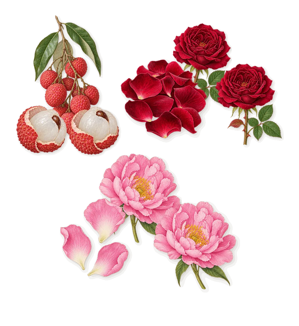 Lust in Paradise, as it settles: Rose, Peony, Lychee