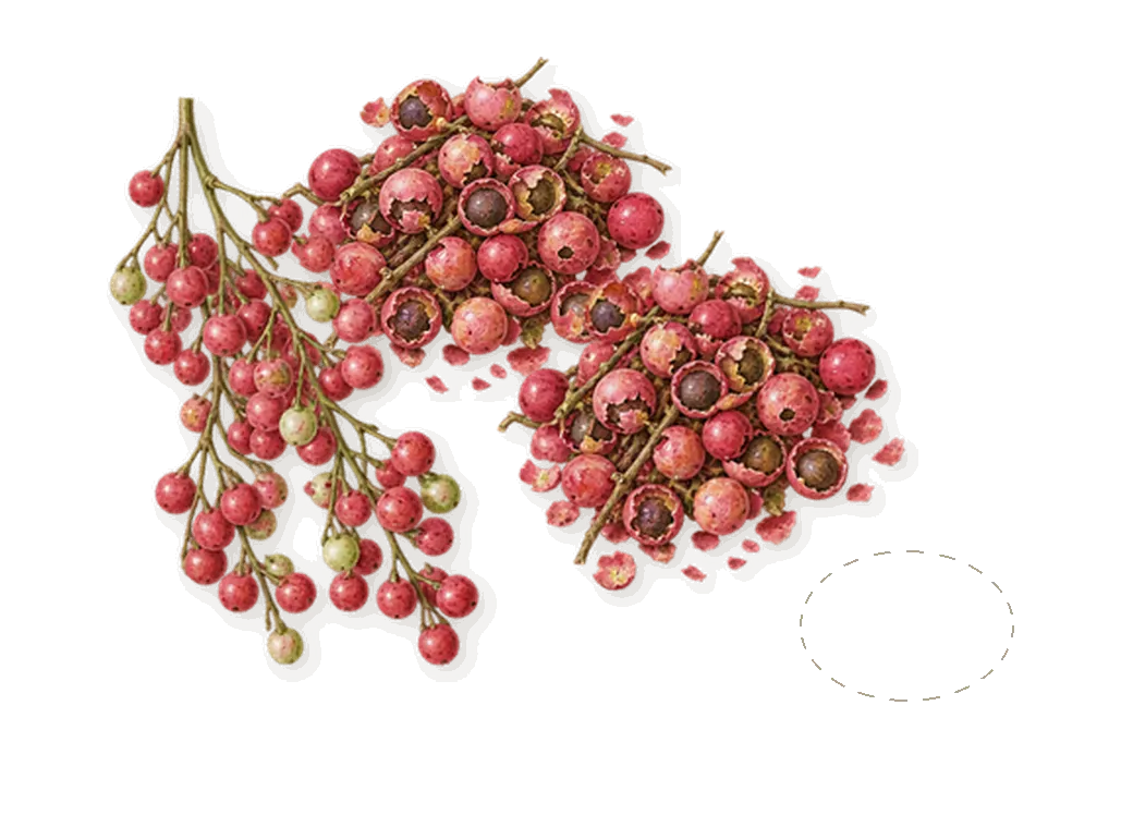 Lust in Paradise, when you spray it: Pink pepper, Rosyfolia