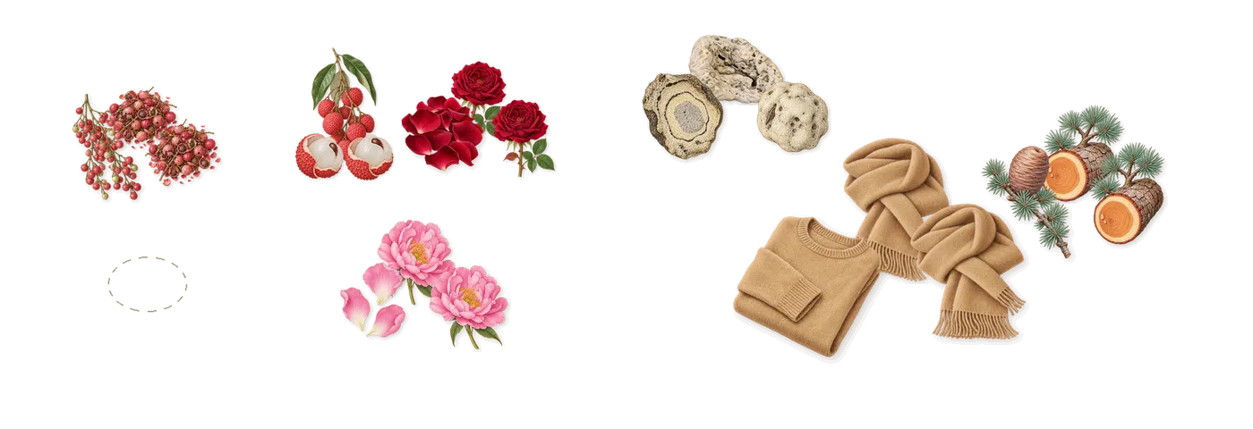 Lust in Paradise’s scent picture, a draft: pink pepper, rose, musk, cedar, ambrofix (ambergris), peony drawn so far; dashed outlines where nothing is drawn yet