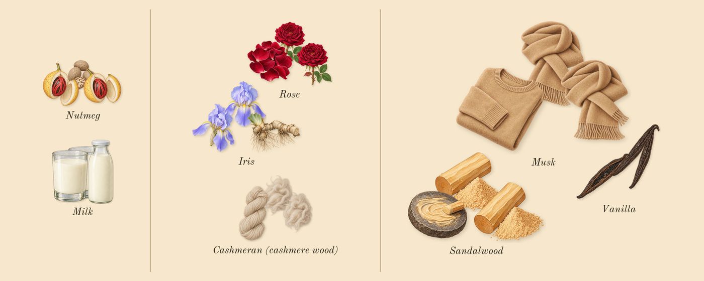 Santal Calling’s scent picture, a draft: milk, nutmeg, iris, rose, cashmeran (cashmere wood), sandalwood drawn so far; dashed outlines where nothing is drawn yet