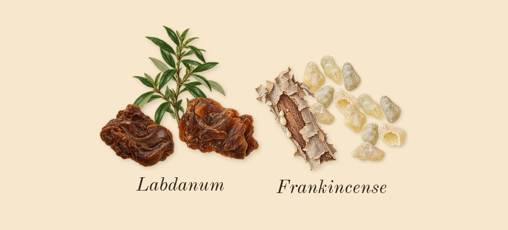 Existence, heart: Frankincense, Labdanum