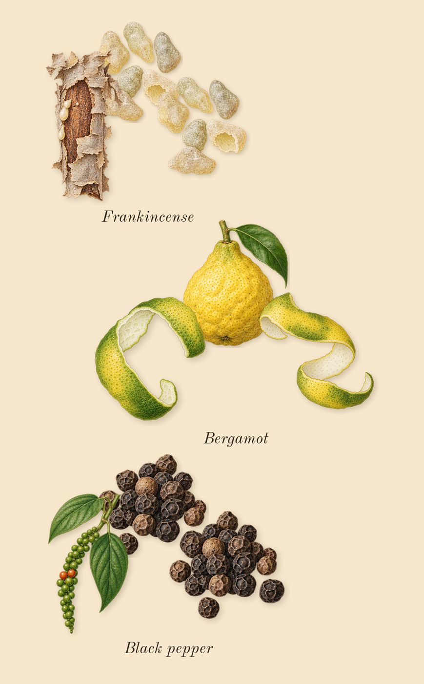 Fate Woman, top notes: Bergamot, Black pepper, Frankincense