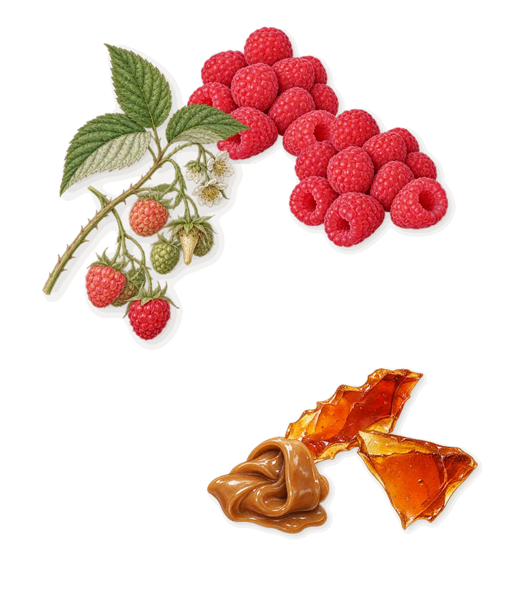 Delizia Cinnamour, as it settles: Raspberry, Caramel