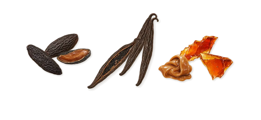 Delizia Kokoloko, what stays: Vanilla, Tonka, Brown sugar