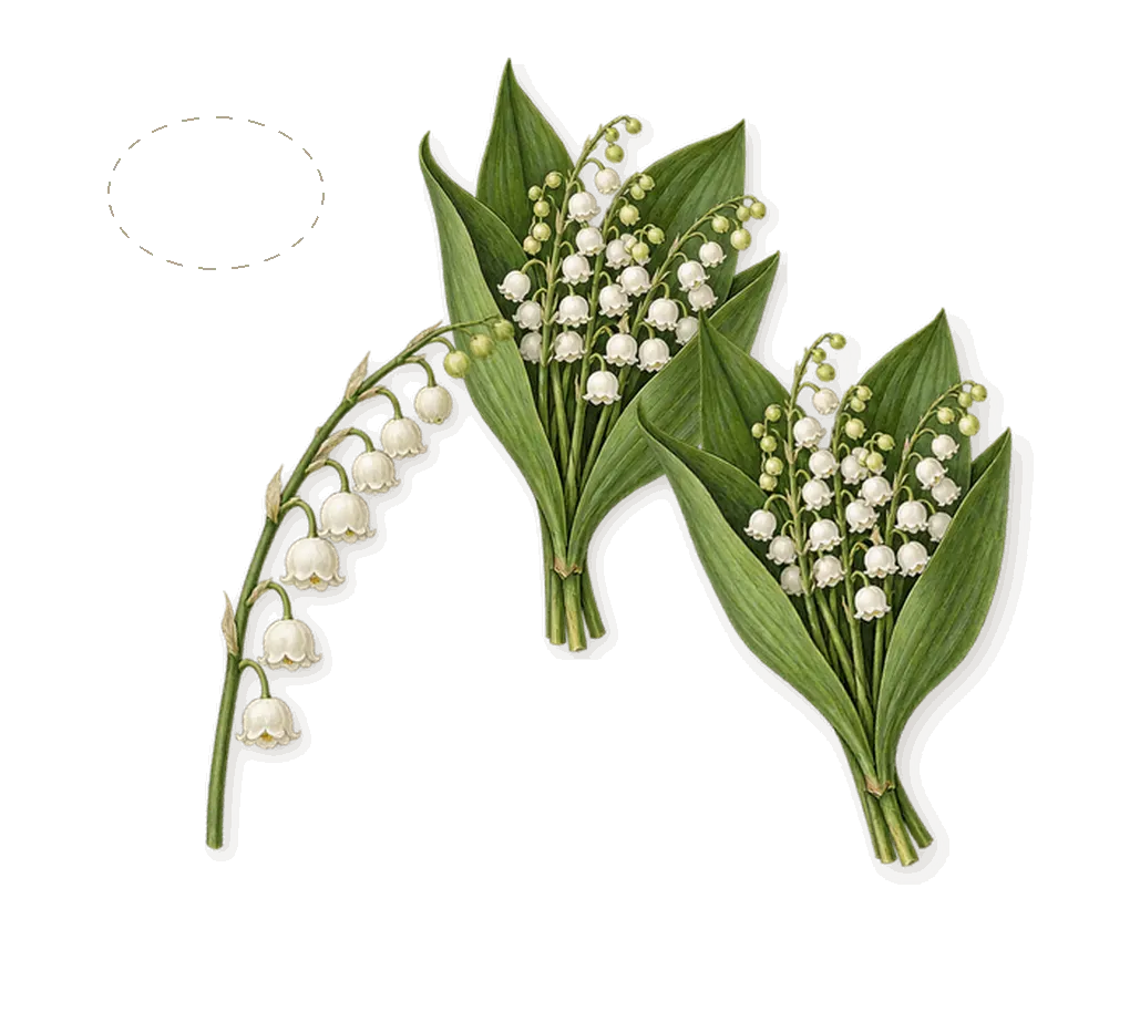 Sand and Skin, when you spray it: Lysylang, Lily of the valley