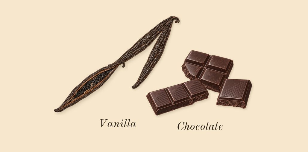 Crème of Clouds, top notes: Vanilla, Chocolate