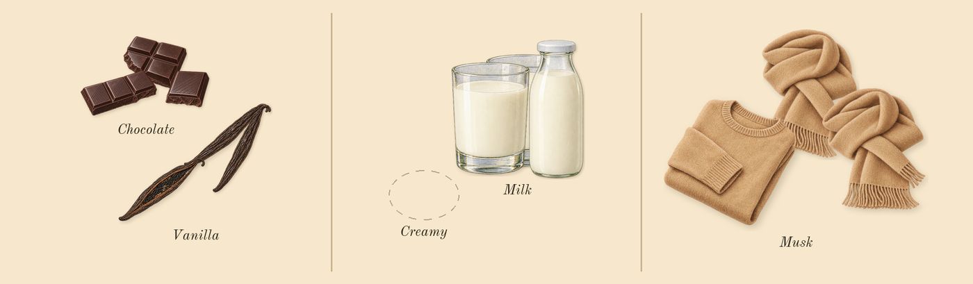Crème of Clouds’s scent picture, a draft: vanilla, chocolate, milk, musk drawn so far; dashed outlines where nothing is drawn yet