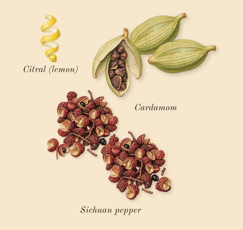 Oud Wonder, top notes: Cardamom, Sichuan pepper, Citral (lemon)