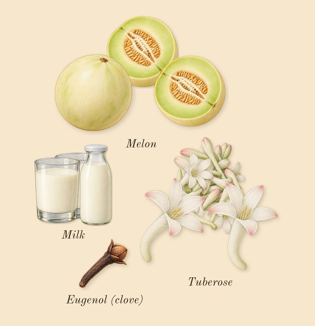 Carnal Flower, heart: Tuberose, Melon, Milk, Eugenol (clove)