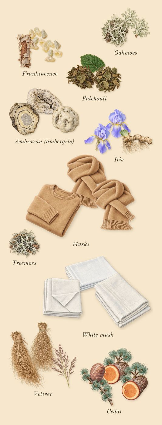 French Lover, dry-down: Patchouli, Vetiver, Frankincense, Iris, Cedar, White musk, Oakmoss, Musks, Ambroxan (ambergris), Treemoss