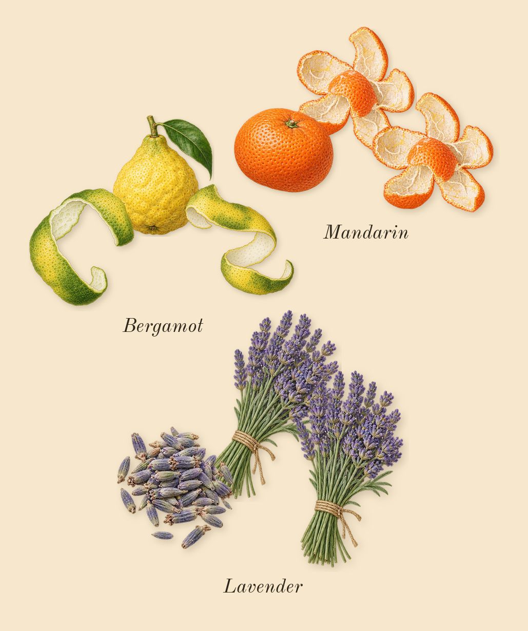 Musc Ravageur, top notes: Bergamot, Mandarin, Lavender